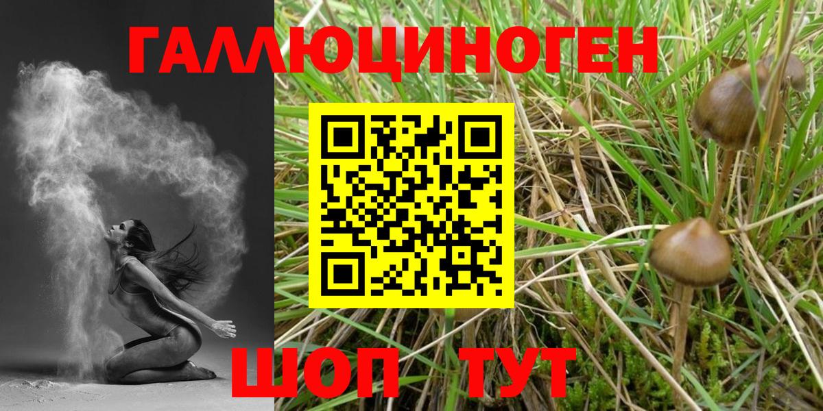 Куйбышев  Псилоцибиновые грибы прущие грибы  Вход с VPN  наркота  Галлюциногенные грибы GOLDEN TEACHER 